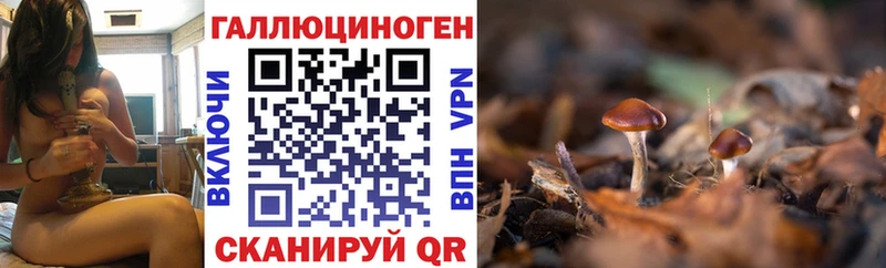 Купить закладки Поворино Галлюциногенные грибы мухоморы